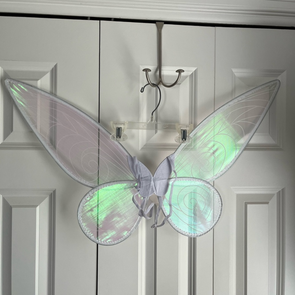 Iridescent Fairy Wings